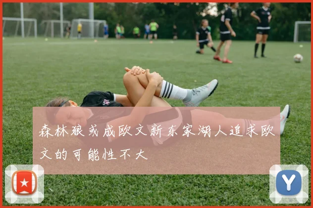 森林狼或成欧文新东家湖人追求欧文的可能性不大