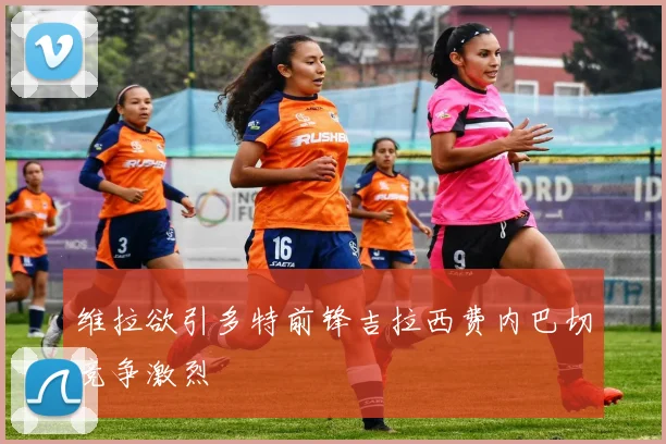 维拉欲引多特前锋吉拉西费内巴切竞争激烈